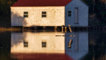 reflections-optimized-(8-of-13)